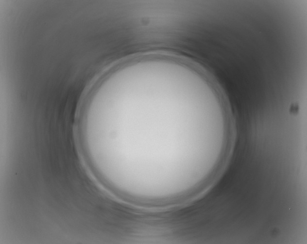 X0000114680701200910211032