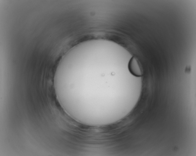 X0000114680702200910211032
