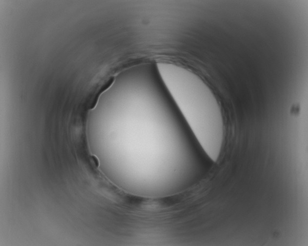 X0000114680704200910211032