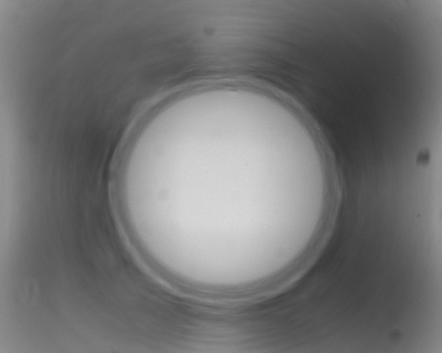 X0000114680705200910211032