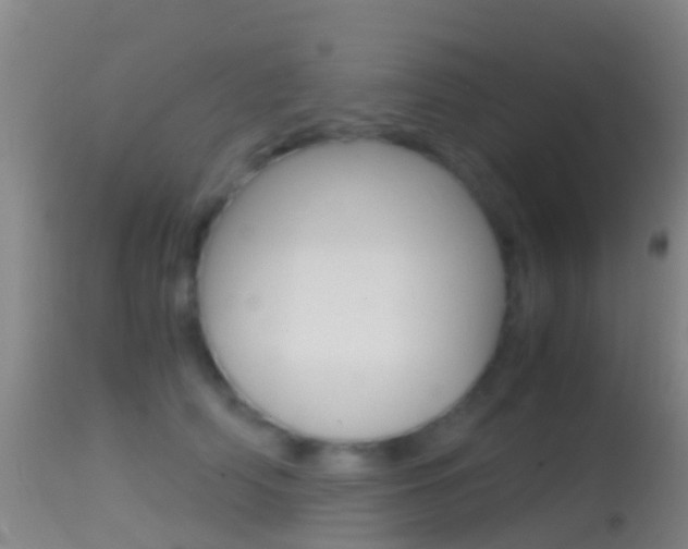 X0000114680706200910211032