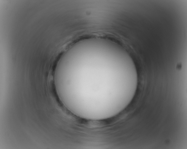 X0000114680707200910211032