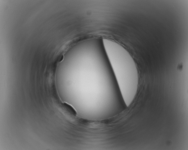X0000114680708200910211032