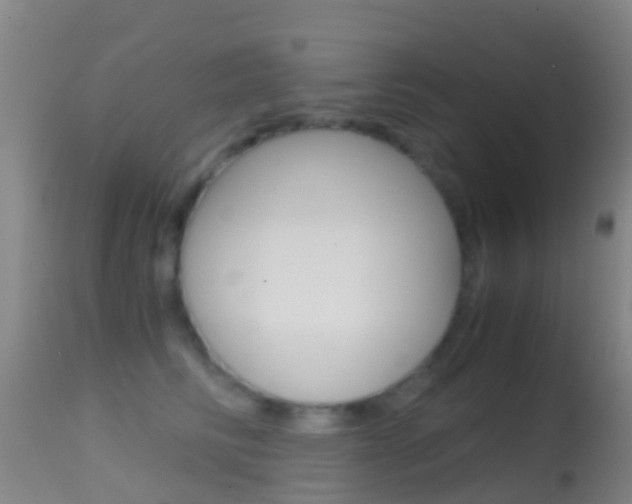 X0000114680710200910211032