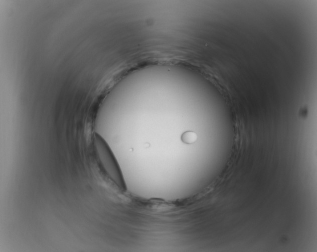 X0000114680716200910211032