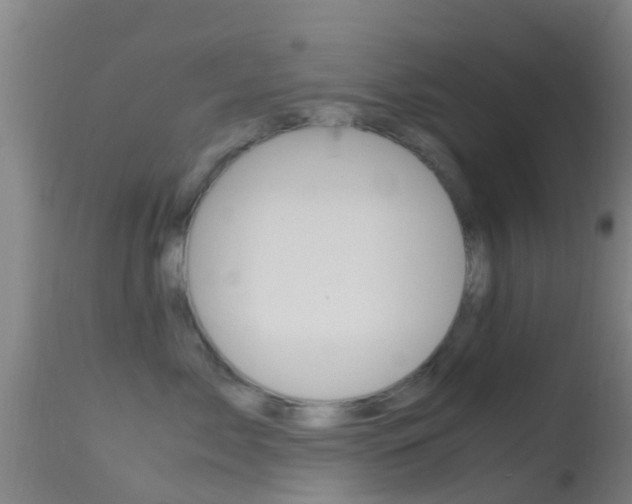 X0000114680717200910211032