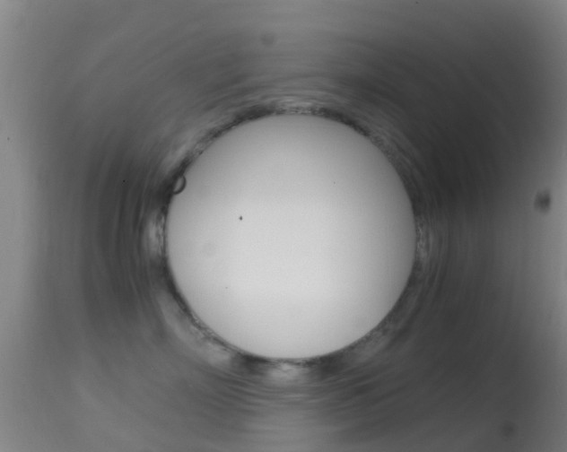 X0000114680718200910211032