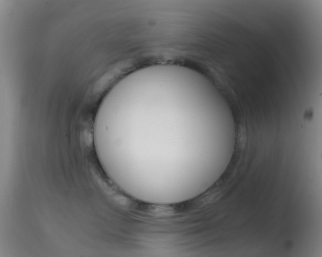 X0000114680719200910211032