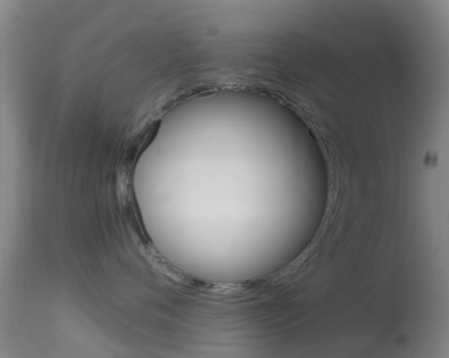 X0000114680720200910211032
