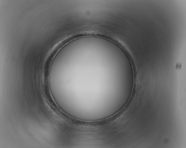 X0000114680722200910211031