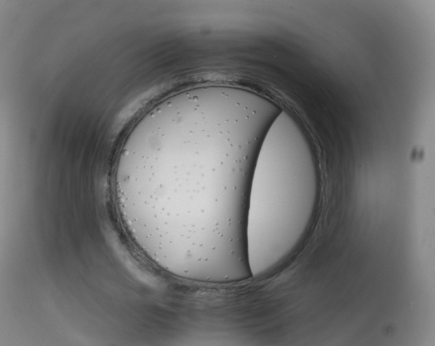 X0000114680725200910211031