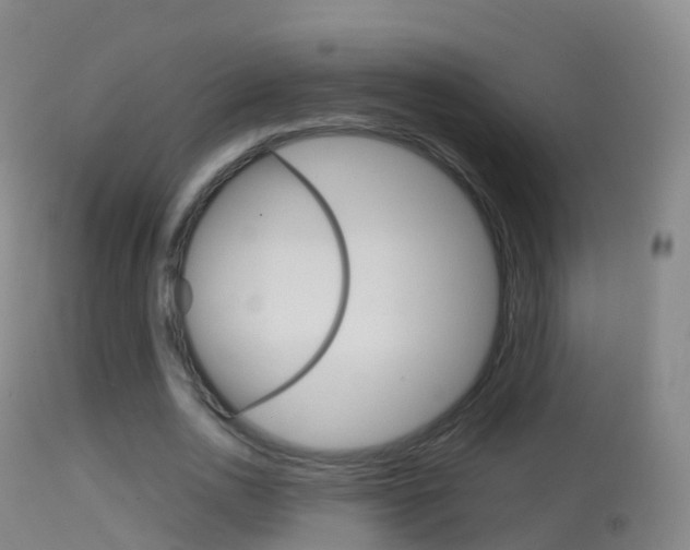 X0000114680726200910211031