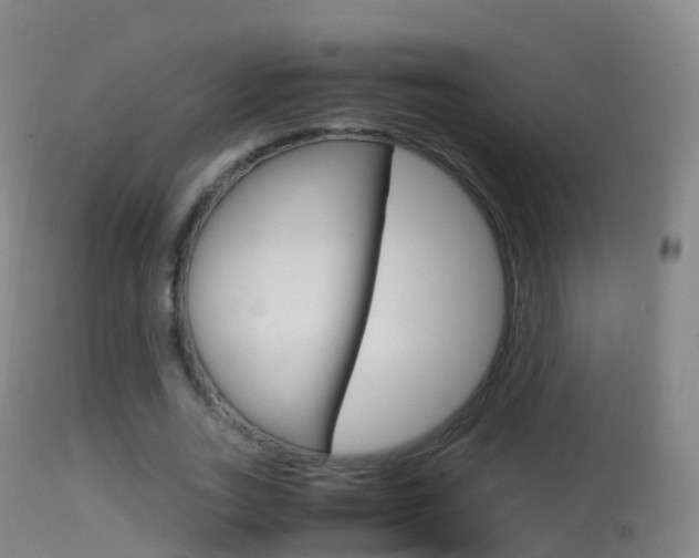 X0000114680727200910211031