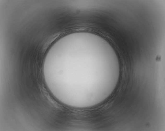 X0000114680729200910211031