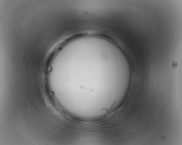 X0000114680730200910211031