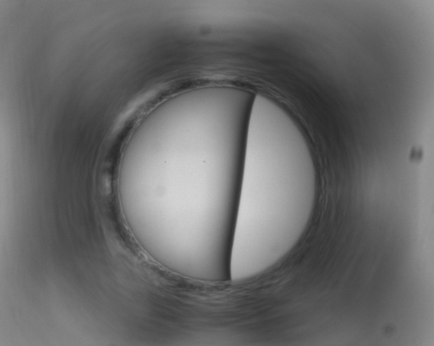 X0000114680731200910211031
