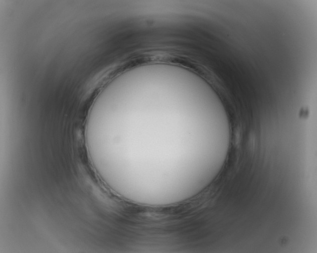 X0000114680733200910211031