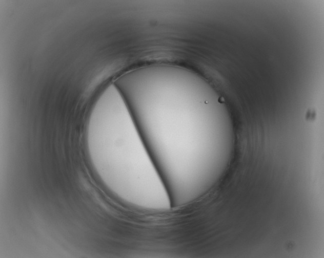 X0000114680735200910211031