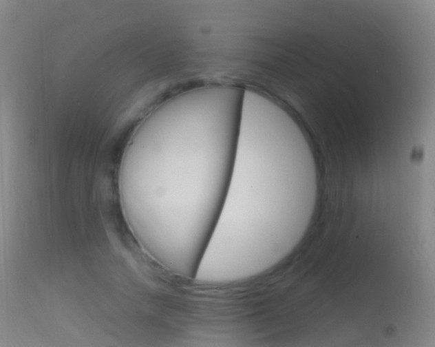 X0000114680738200910211031