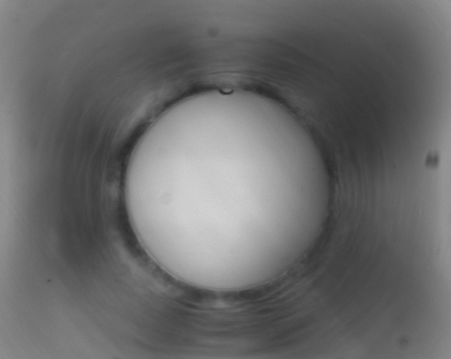 X0000114680739200910211031
