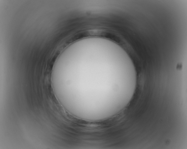 X0000114680741200910211031