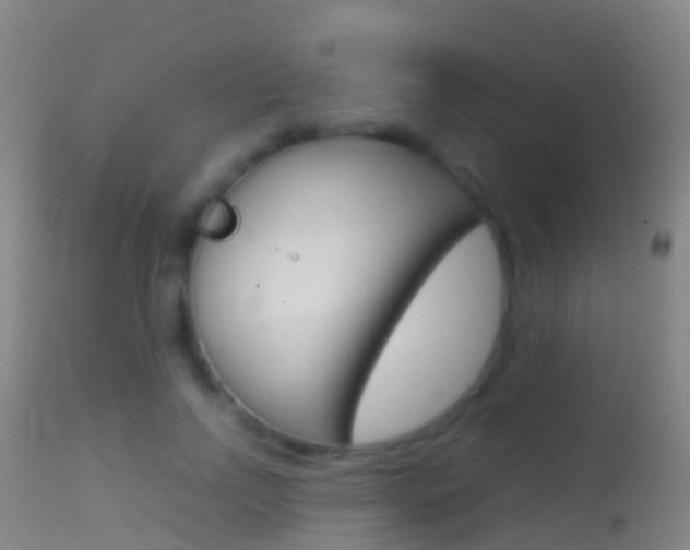 X0000114680742200910211031