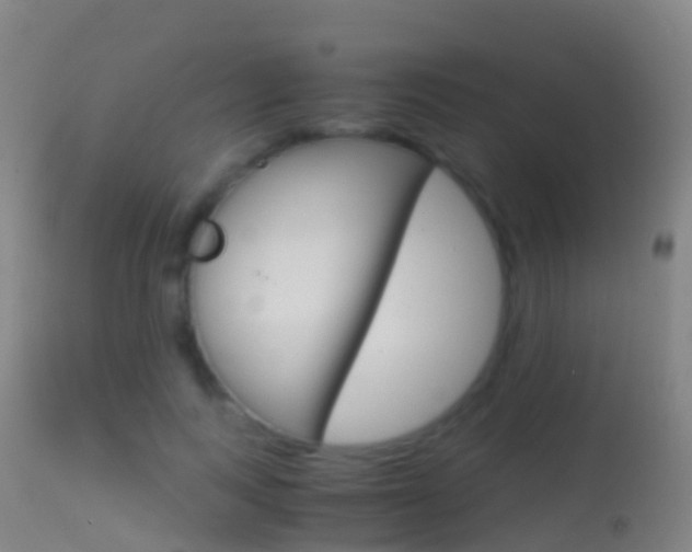 X0000114680743200910211031