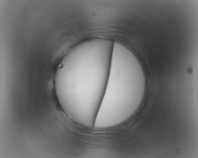 X0000114680746200910211031