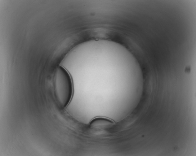X0000114680747200910211031