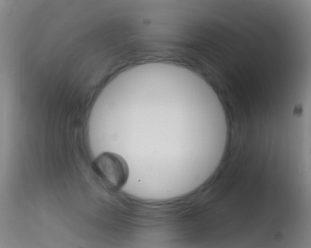 X0000114680750200910211031