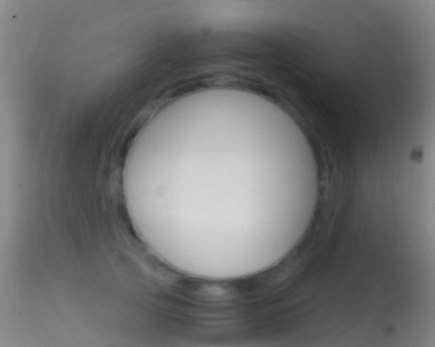 X0000114680753200910211031