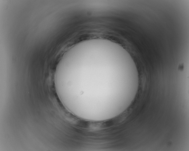 X0000114680757200910211031