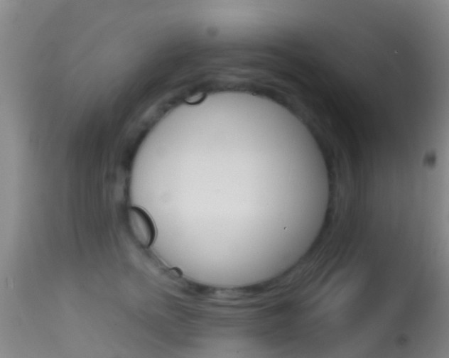 X0000114680758200910211031