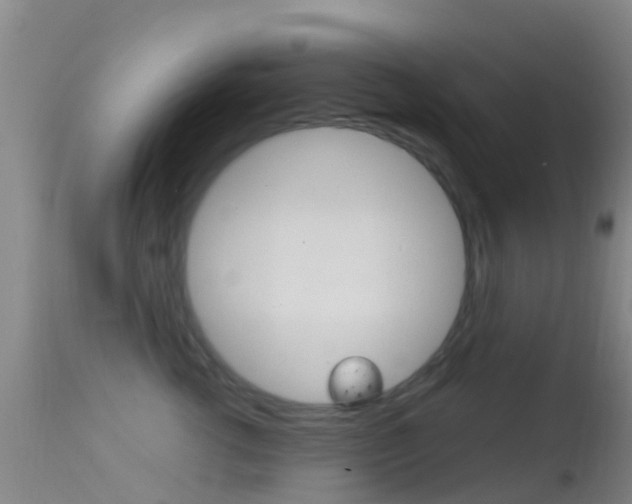 X0000114680762200910211031