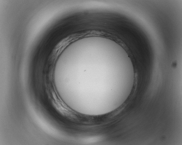 X0000114680765200910211031
