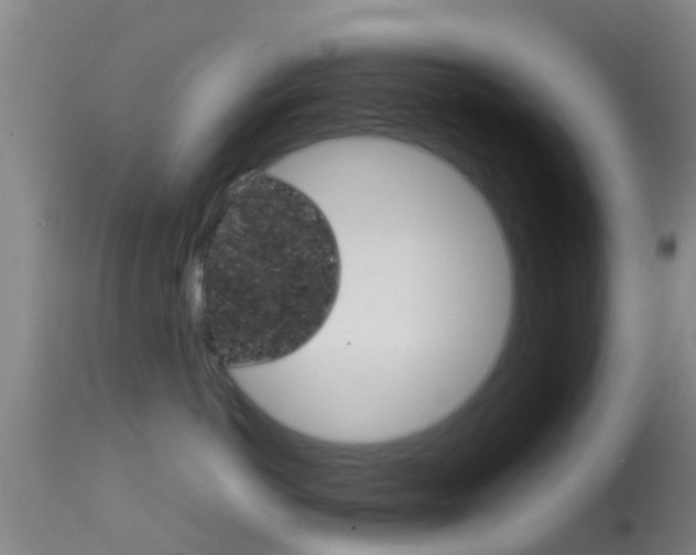 X0000114680766200910211031