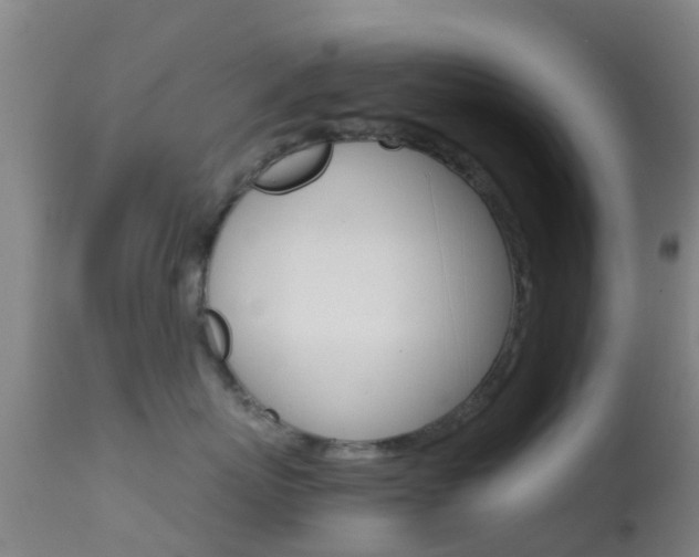 X0000114680767200910211031