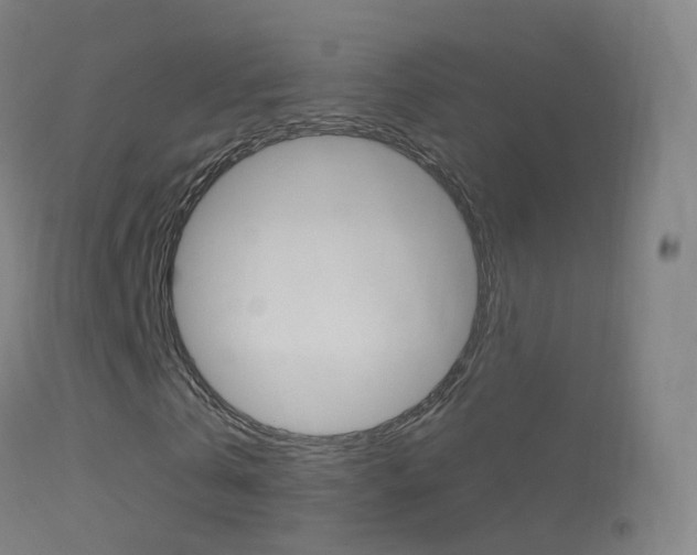 X0000114680769200910211031