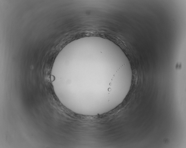 X0000114680770200910211031