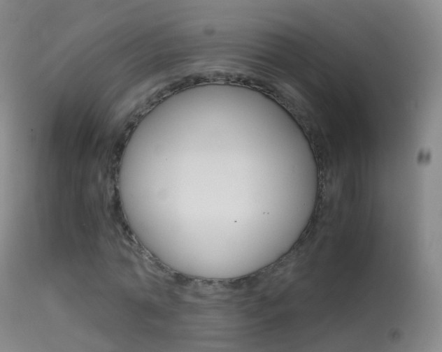 X0000114680774200910211031