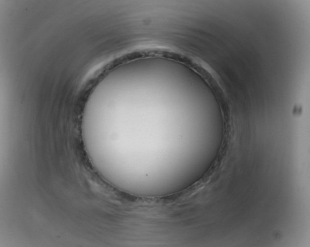 X0000114680775200910211031