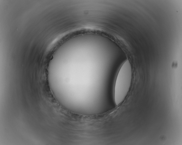 X0000114680776200910211031