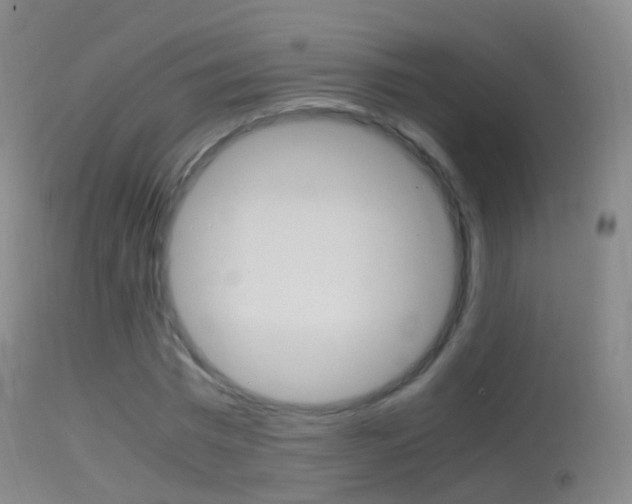X0000114680777200910211031