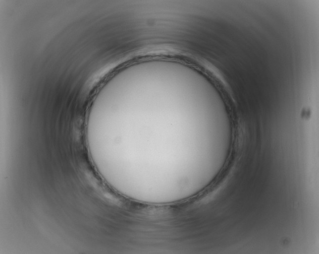 X0000114680778200910211031