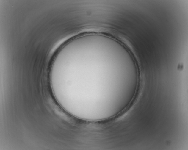 X0000114680779200910211031