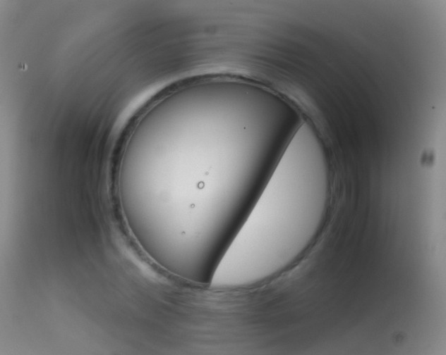 X0000114680780200910211031