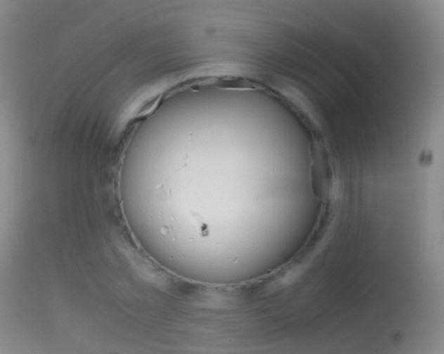 X0000114680781200910211031