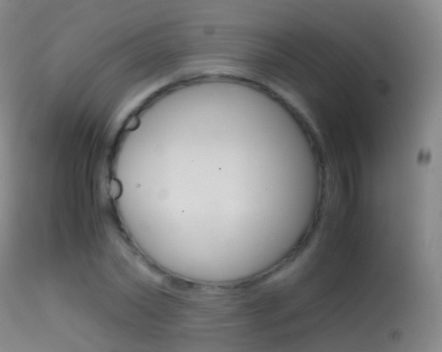X0000114680782200910211031