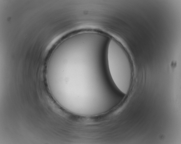 X0000114680783200910211031