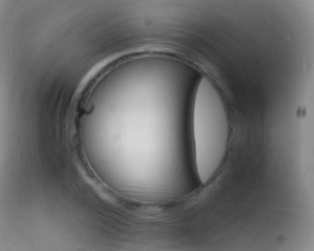 X0000114680784200910211031
